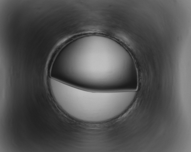 X0000098051172200803280724