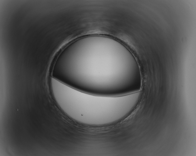 X0000098051173200803280724