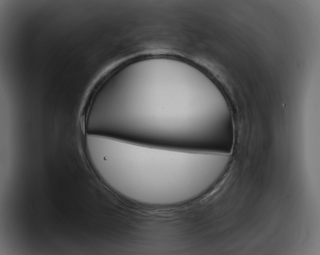 X0000098051175200803280724