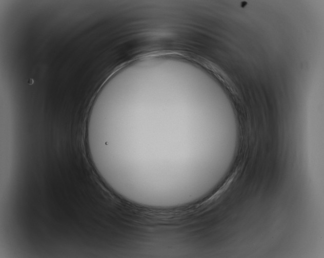 X0000098051177200803280724