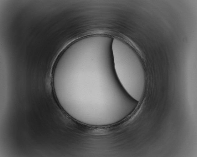 X0000098051178200803280724