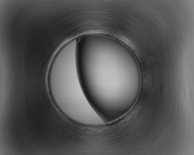X0000098051181200803280724