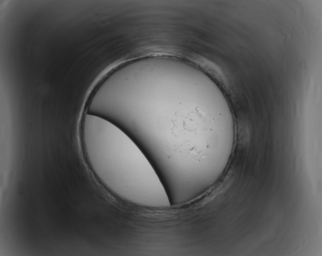 X0000098051182200803280724
