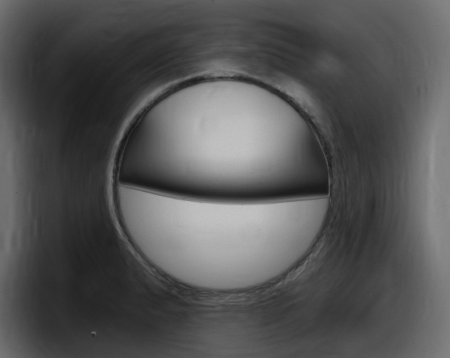 X0000098051183200803280724