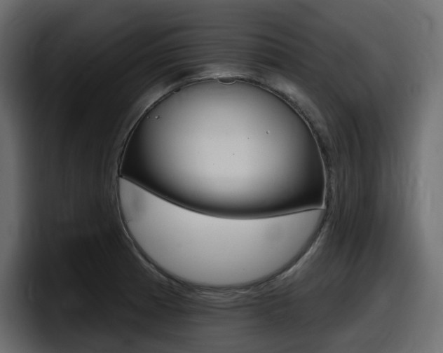 X0000098051185200803280724