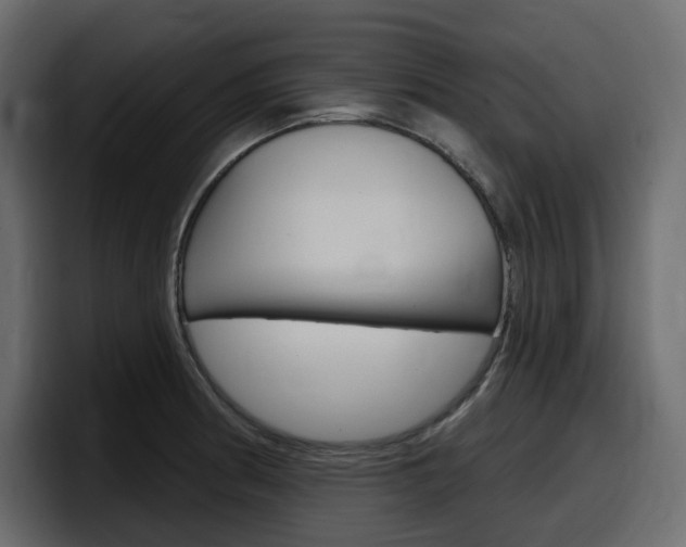 X0000098051186200803280724