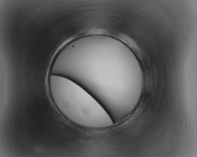 X0000098051190200803280724