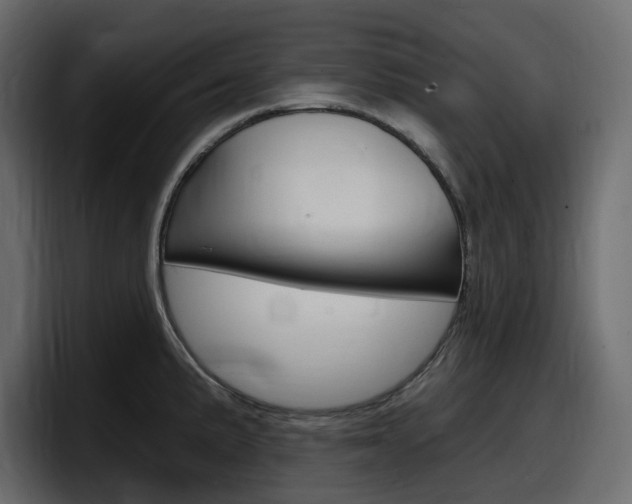 X0000098051191200803280724