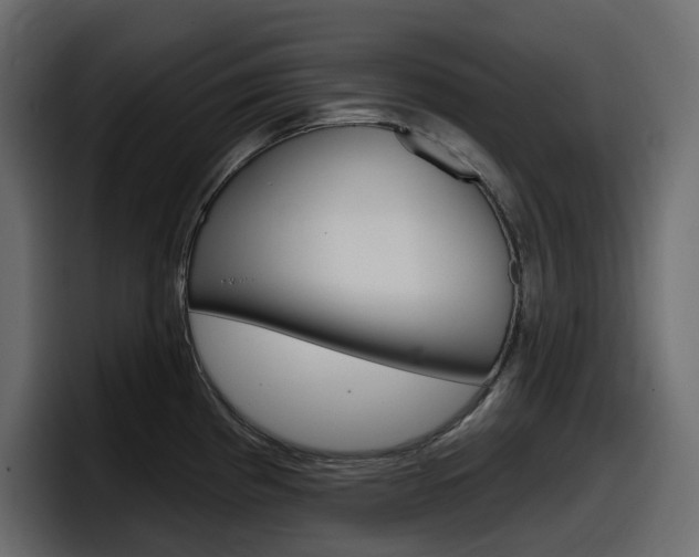 X0000098051193200803280724