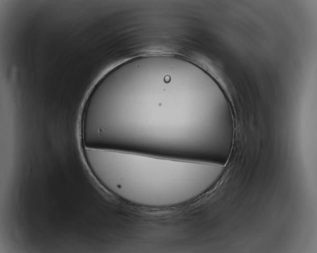 X0000098051195200803280724