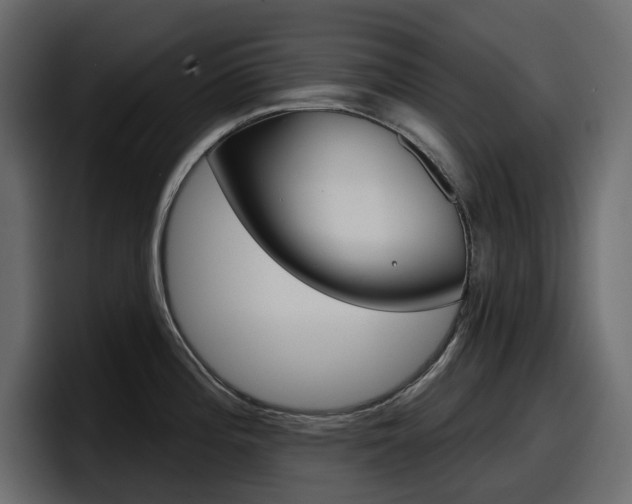 X0000098051196200803280724