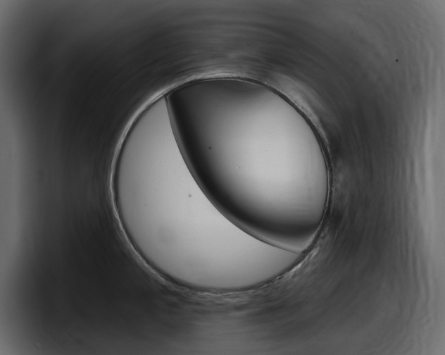 X0000098051197200803280724