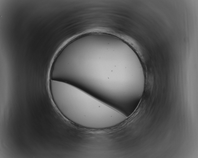 X0000098051199200803280724