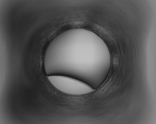 X0000098051204200803280723
