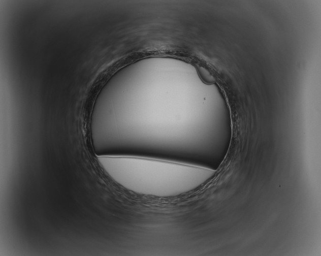 X0000098051206200803280723