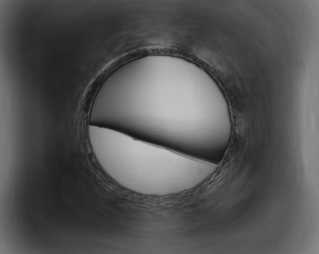 X0000098051208200803280723