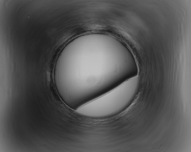 X0000098051209200803280723