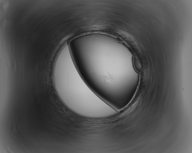 X0000098051210200803280723
