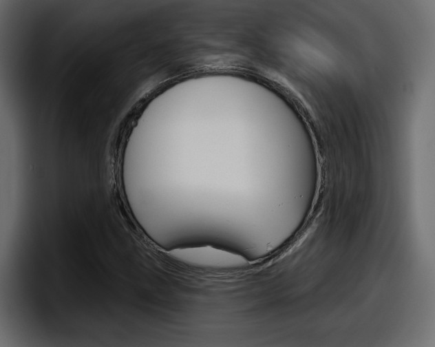 X0000098051211200803280723