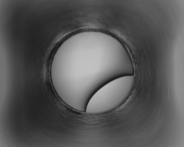 X0000098051215200803280723