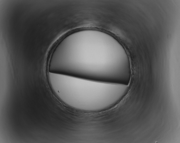 X0000098051216200803280723