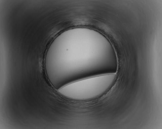 X0000098051217200803280723