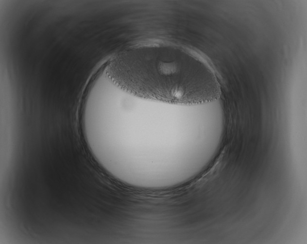 X0000098051218200803280723