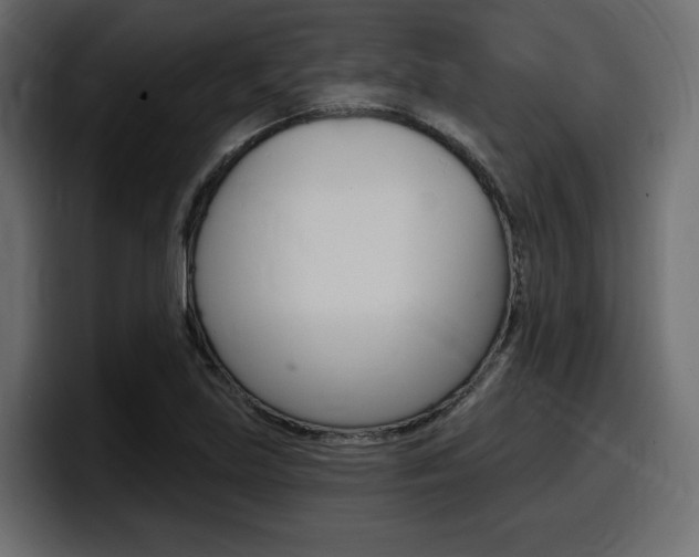 X0000098051219200803280723