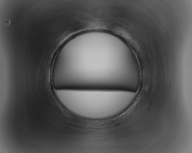 X0000098051220200803280723