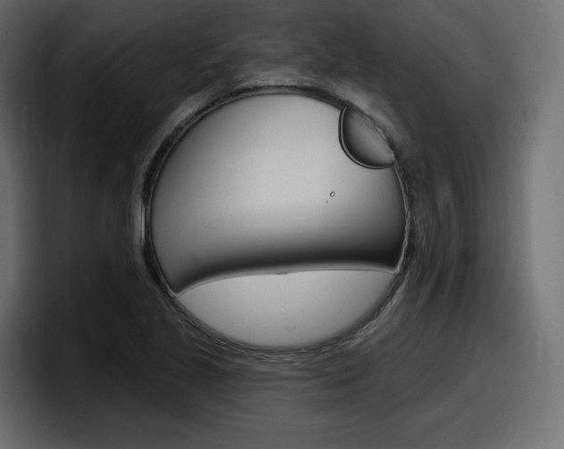 X0000098051221200803280723