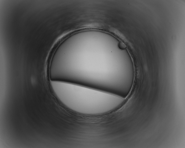 X0000098051222200803280723