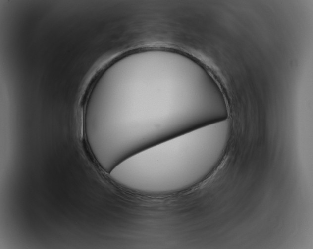 X0000098051223200803280723