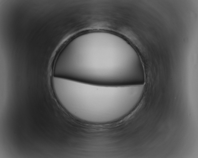 X0000098051224200803280723