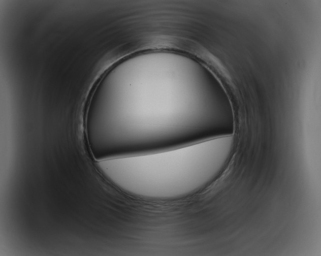 X0000098051226200803280723