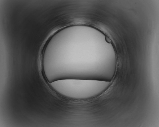 X0000098051227200803280723