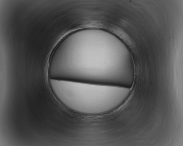 X0000098051228200803280723