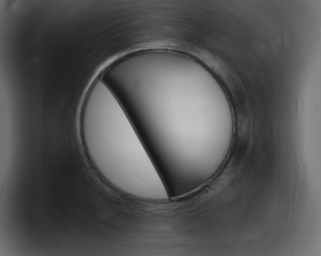 X0000098051230200803280723