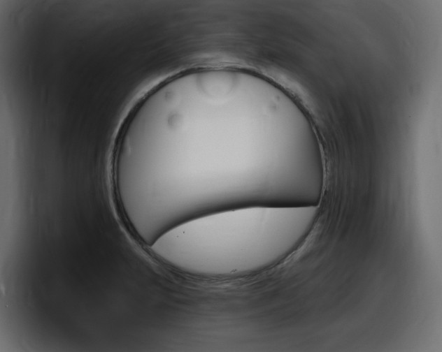 X0000098051231200803280724