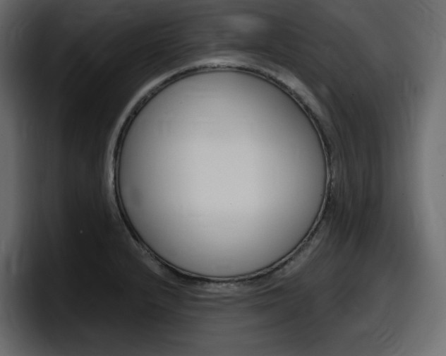 X0000098051232200803280724