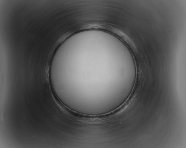 X0000098051233200803280724