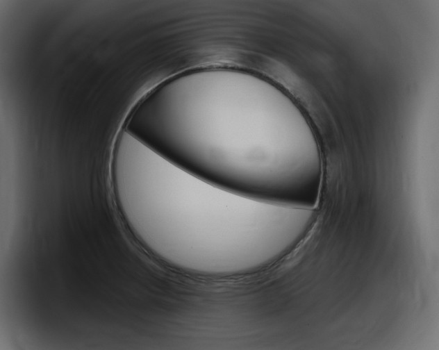 X0000098051234200803280724