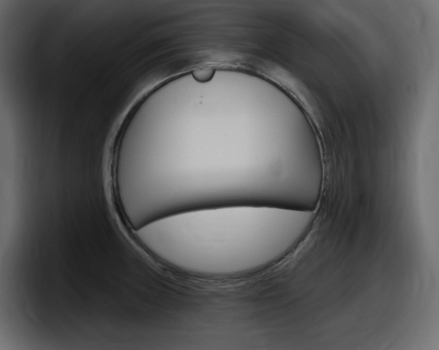 X0000098051235200803280724
