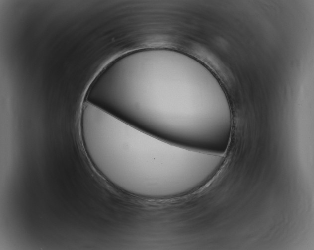 X0000098051236200803280724