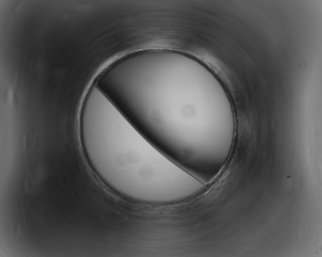 X0000098051238200803280724