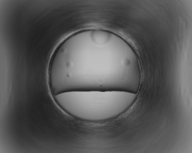 X0000098051239200803280724