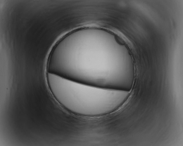 X0000098051240200803280724
