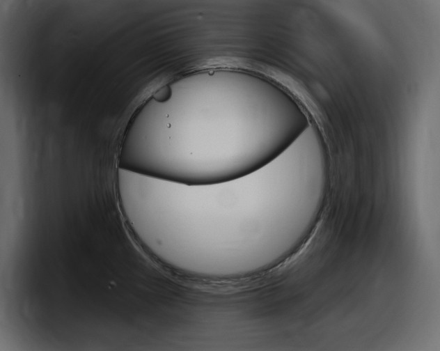 X0000098051241200803280724