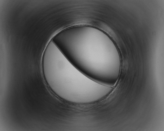 X0000098051242200803280724