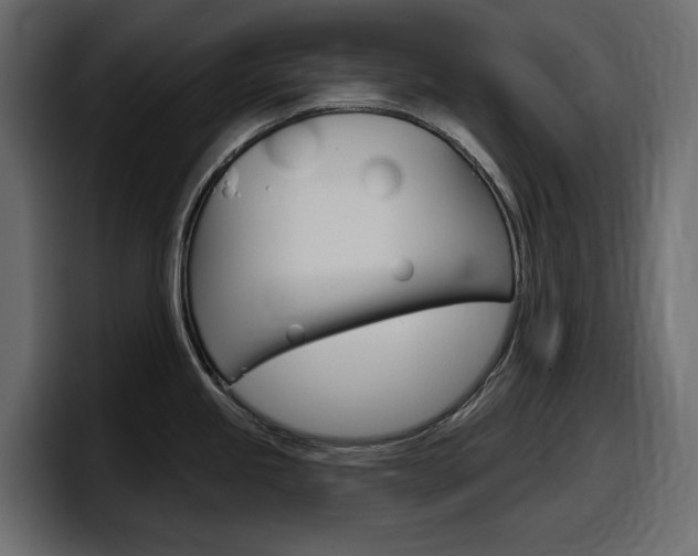 X0000098051245200803280724