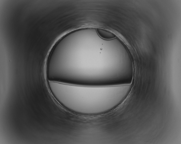 X0000098051246200803280724